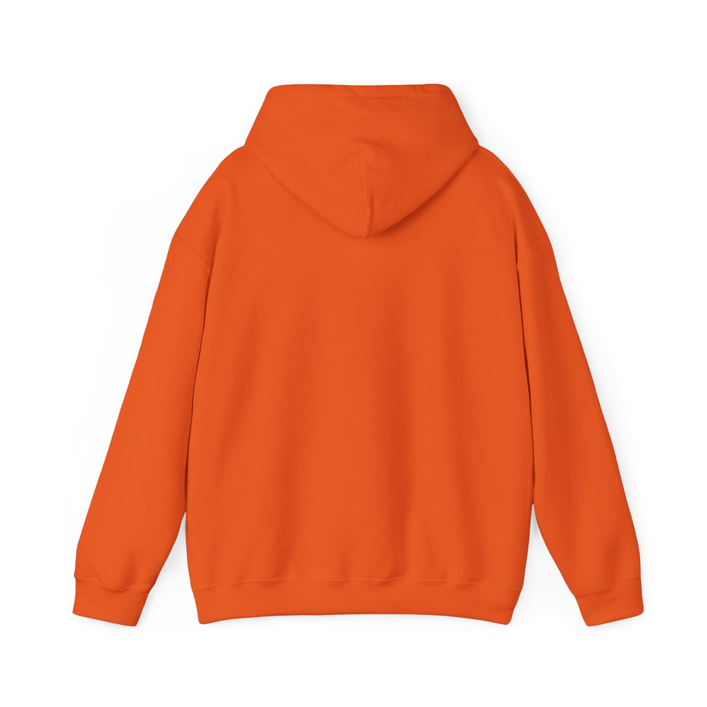 Professional Overthinker Hoodie - Funny Thought Bubble Sweatshirt for Overthinkers