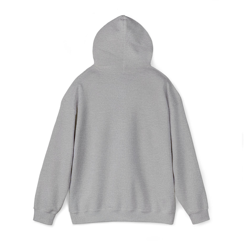 Airplane Silhouette Embroidered Hoodie — Minimal Flight Crew & Aviation Gift
