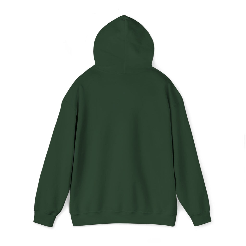 Airplane Silhouette Embroidered Hoodie — Minimal Flight Crew & Aviation Gift