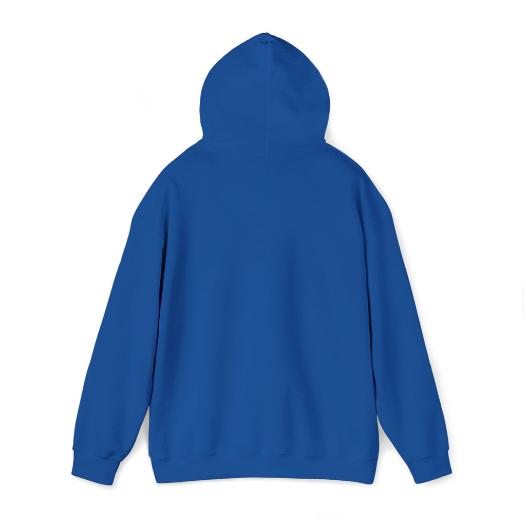 Airplane Silhouette Embroidered Hoodie — Minimal Flight Crew & Aviation Gift