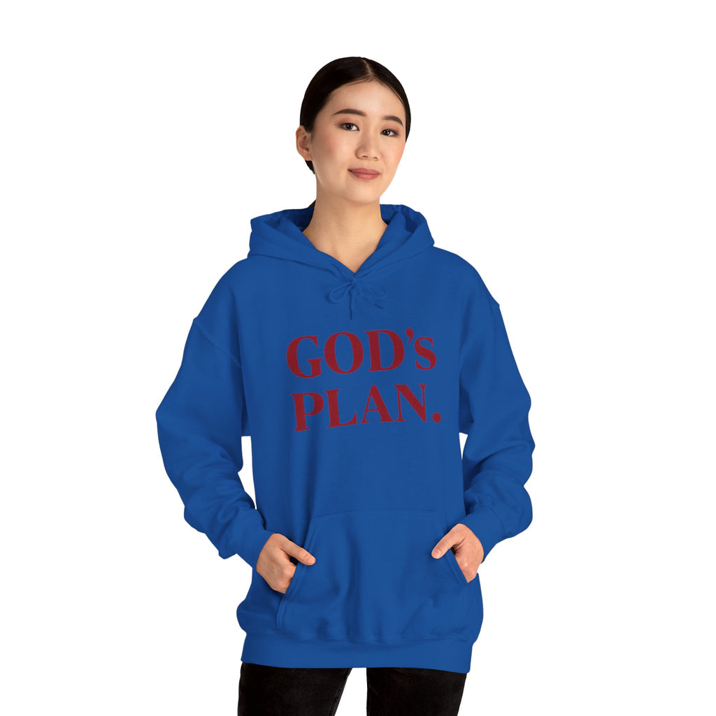 God's Plan Hoodie — Faith-Inspired White Pullover