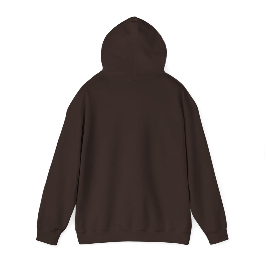 God's Plan Hoodie — Faith-Inspired White Pullover