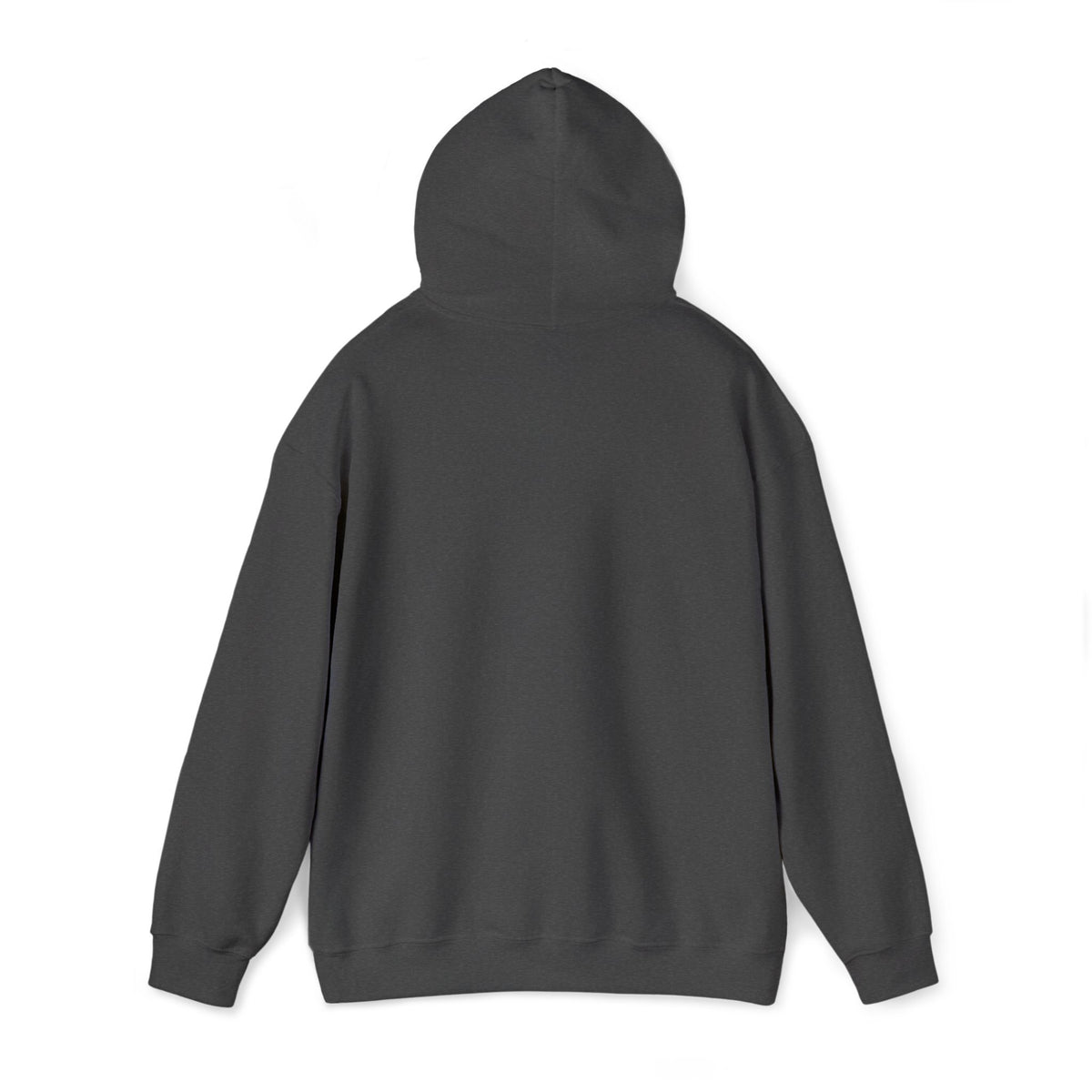 Airplane Silhouette Embroidered Hoodie — Minimal Flight Crew & Aviation Gift