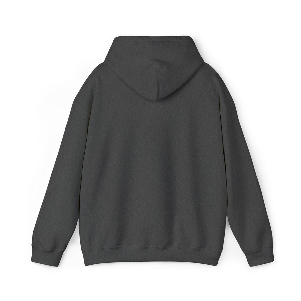 Airplane Silhouette Embroidered Hoodie — Minimal Flight Crew & Aviation Gift