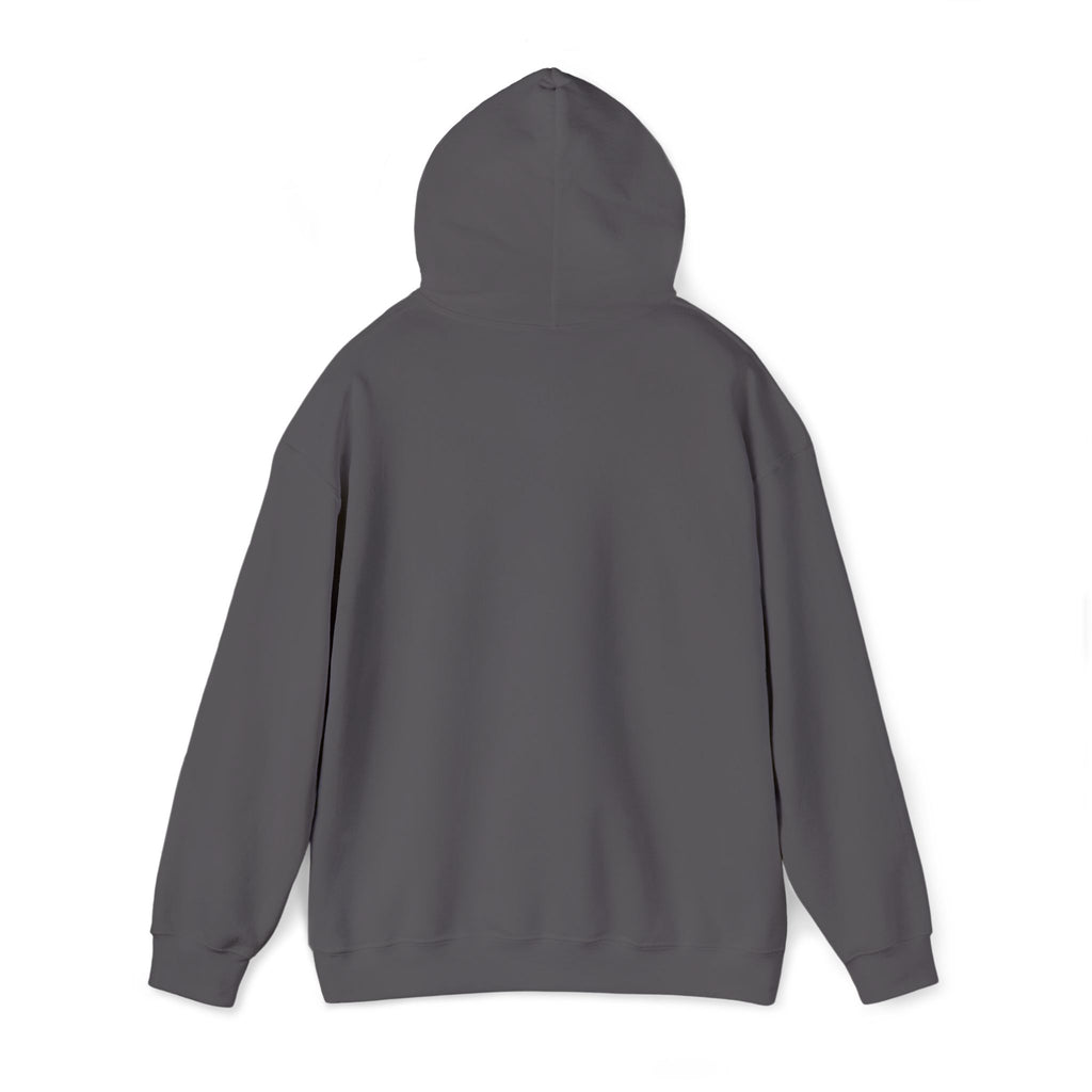 Mountain Triptych Hoodie — Minimalist Scenic Graphic Pullover Embroidered