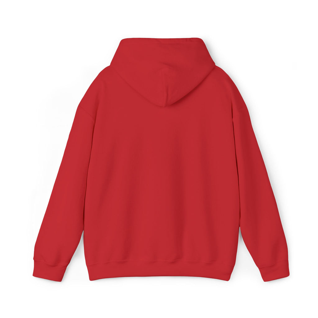 Airplane Silhouette Embroidered Hoodie — Minimal Flight Crew & Aviation Gift