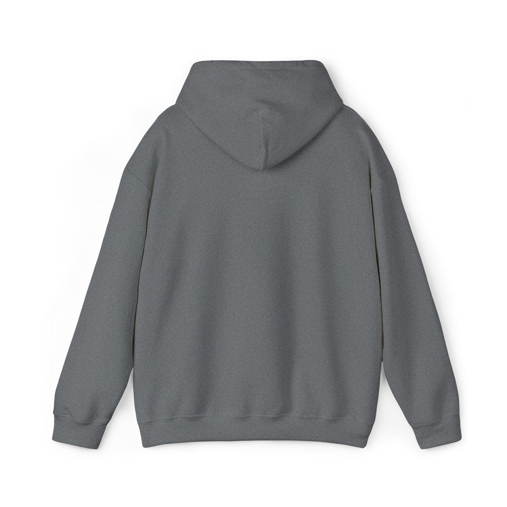 Airplane Silhouette Embroidered Hoodie — Minimal Flight Crew & Aviation Gift