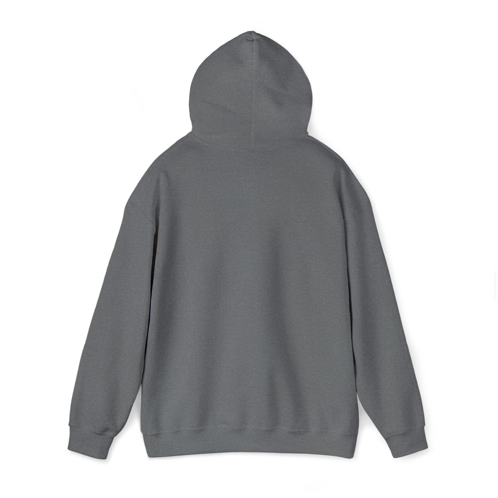 Airplane Silhouette Embroidered Hoodie — Minimal Flight Crew & Aviation Gift