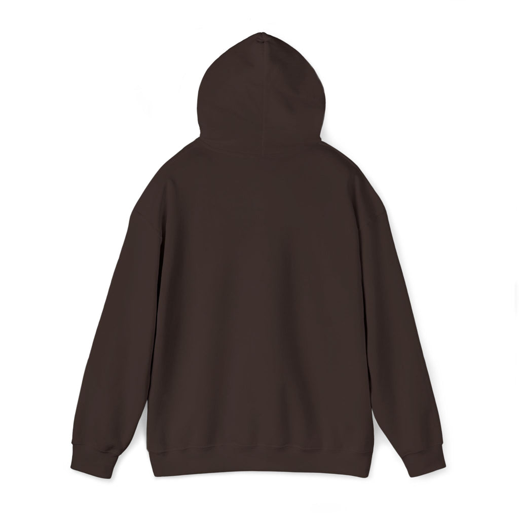 Airplane Silhouette Embroidered Hoodie — Minimal Flight Crew & Aviation Gift