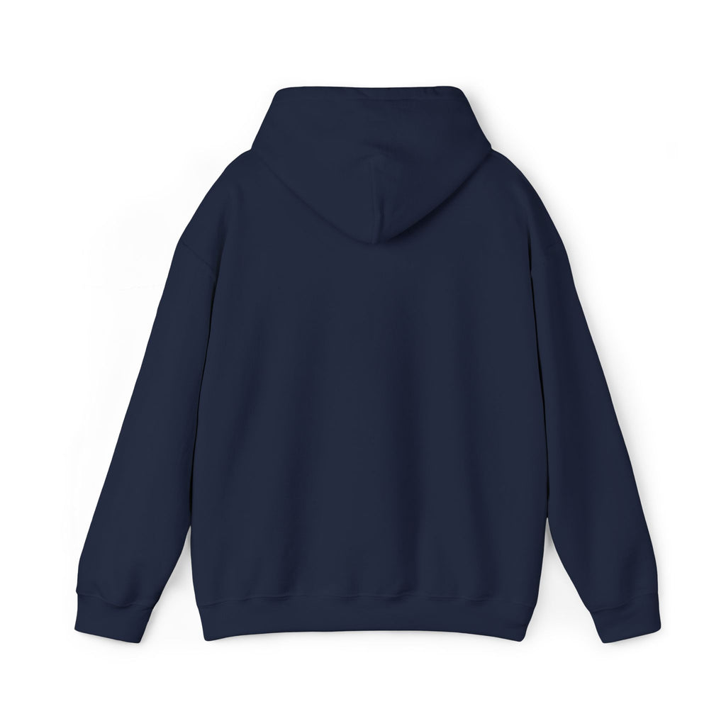 Airplane Silhouette Embroidered Hoodie — Minimal Flight Crew & Aviation Gift