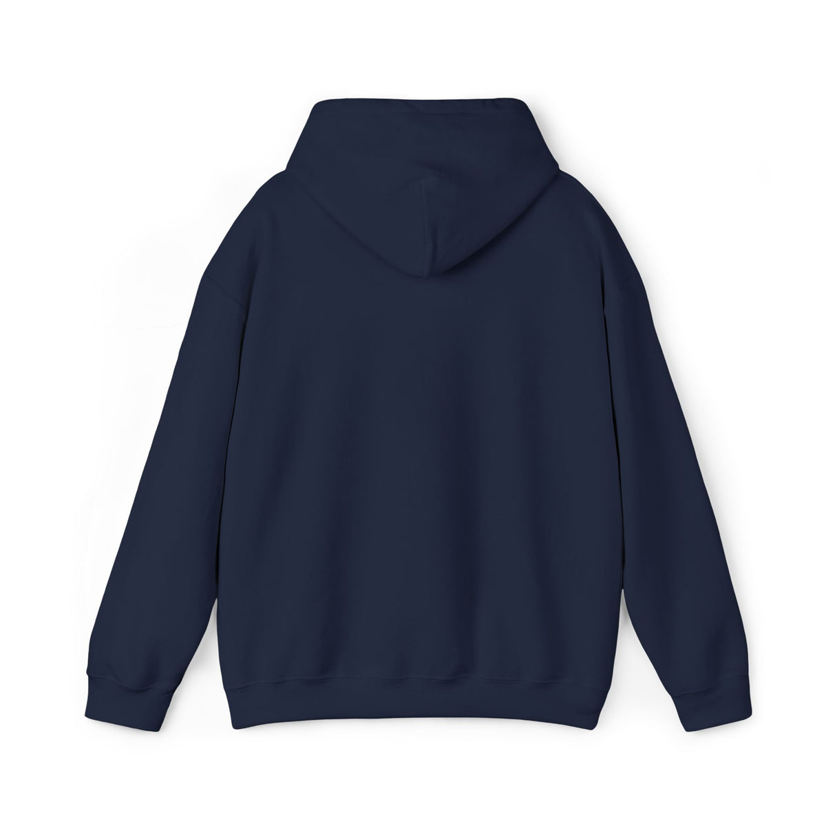 Airplane Silhouette Embroidered Hoodie — Minimal Flight Crew & Aviation Gift