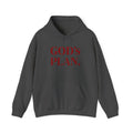 God's Plan Hoodie — Faith-Inspired White Pullover