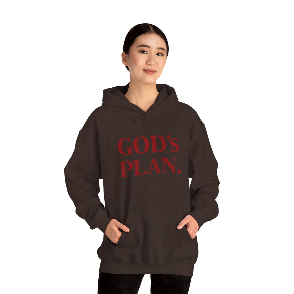God's Plan Hoodie — Faith-Inspired White Pullover