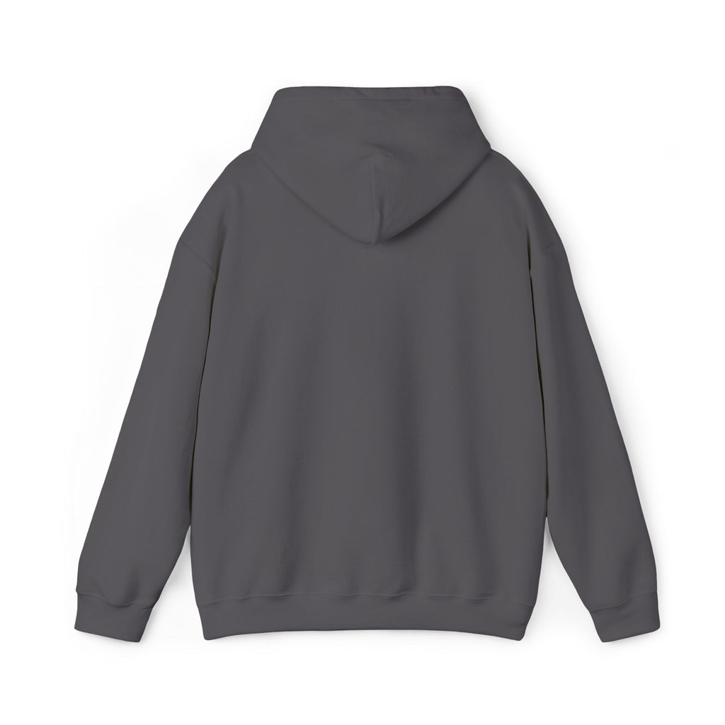 Mountain Triptych Hoodie — Minimalist Scenic Graphic Pullover Embroidered