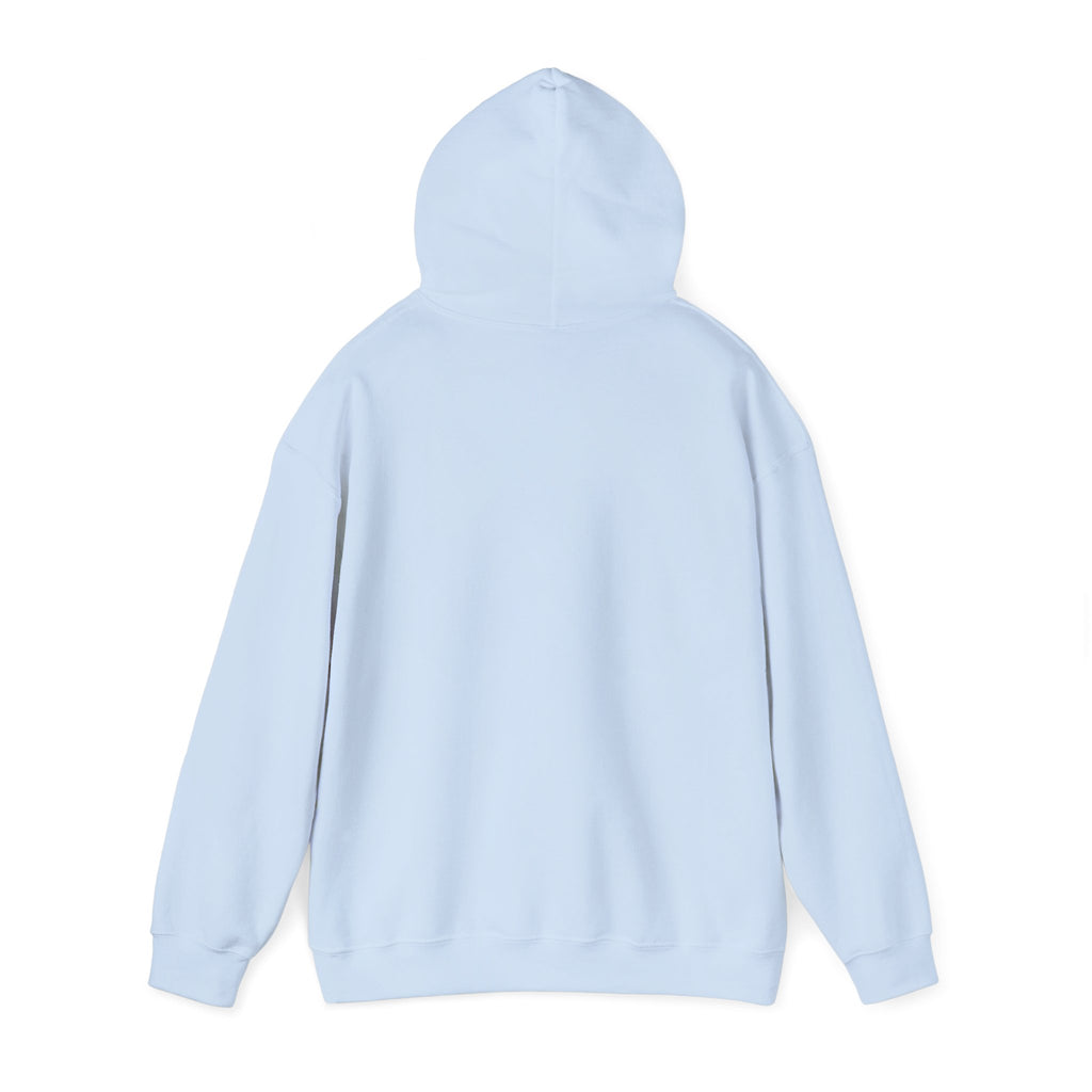 Guitar Picks Graphic Hoodie